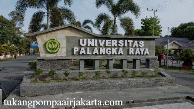 Jurusan Universitas di Palangkaraya dengan Prospek Karir Terbaik